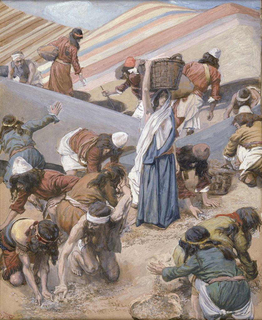 Biblical scene, people gathering manna in the desert.