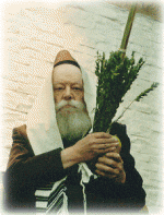 Lubavitcher_Rebbe_with_Arba_Minim